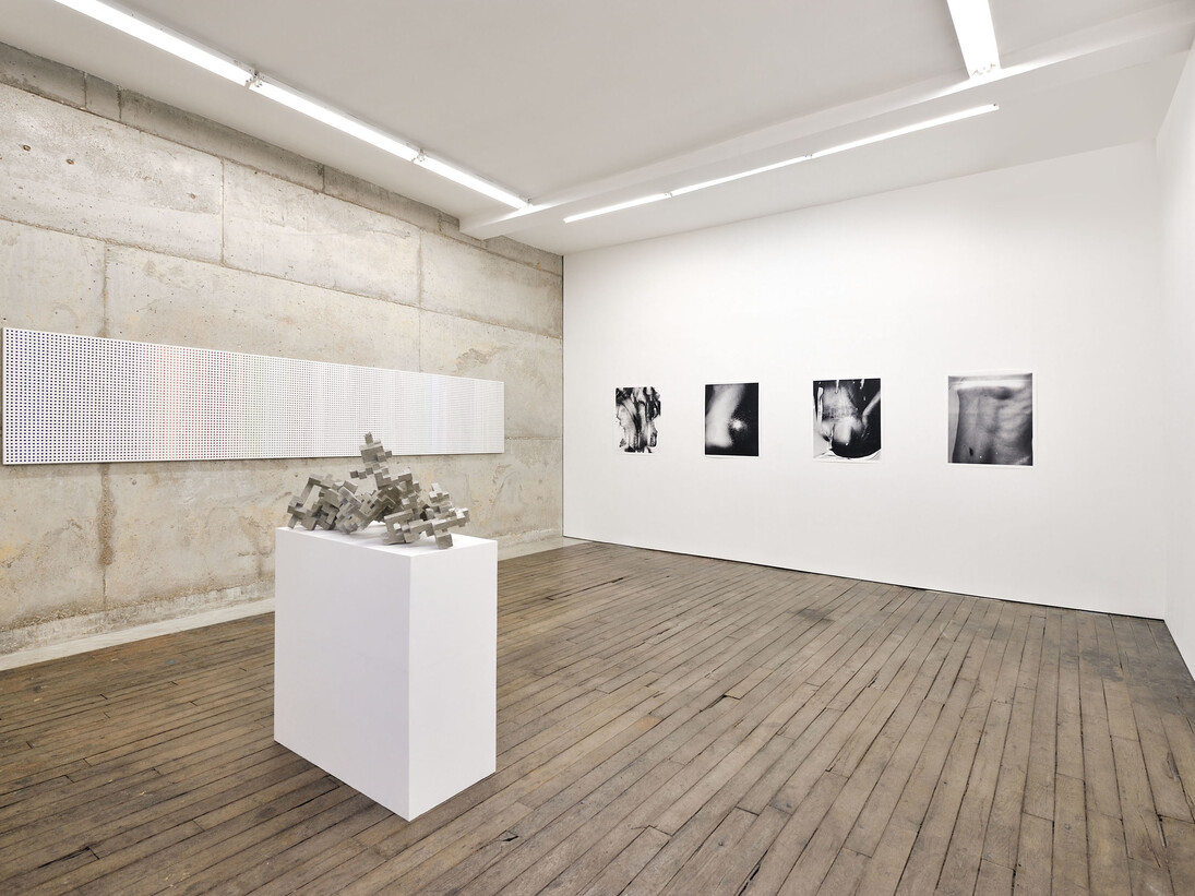 Eileen Quinlan & Cheyney Thompson, A Moveable Feast – Part XI, Installation view, 3 – 26 July 2014, Campoli Presti, Paris, Courtesy of Campoli Presti, London / Paris