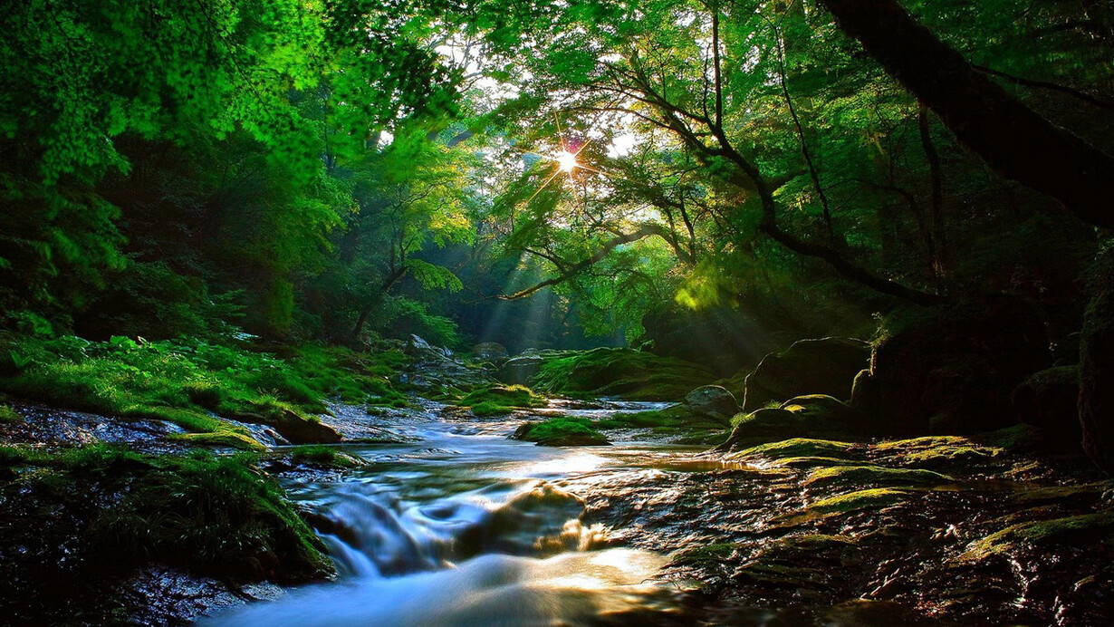 ¿Dónde queda toda esta belleza al fundirse en el uno, al colapsarse el sueño creativo de la vida en la existencia? 