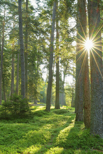 Dobbiamo darci da fare per dare vita a un nuovo Prometeo che finalmente ci insegni ad abitare degnamente Gaia