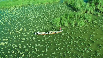 Chibayish marshes, Iraq, near al-Nasiriyah