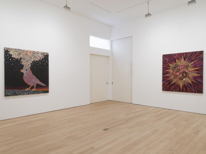 Fred Tomaselli, Installation view