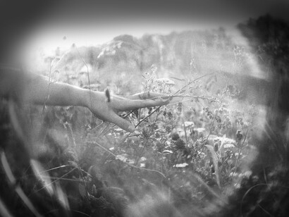 Nature is there to be touched