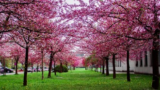 L’importante è restare muovendosi, ma solo dove c’è salvezza