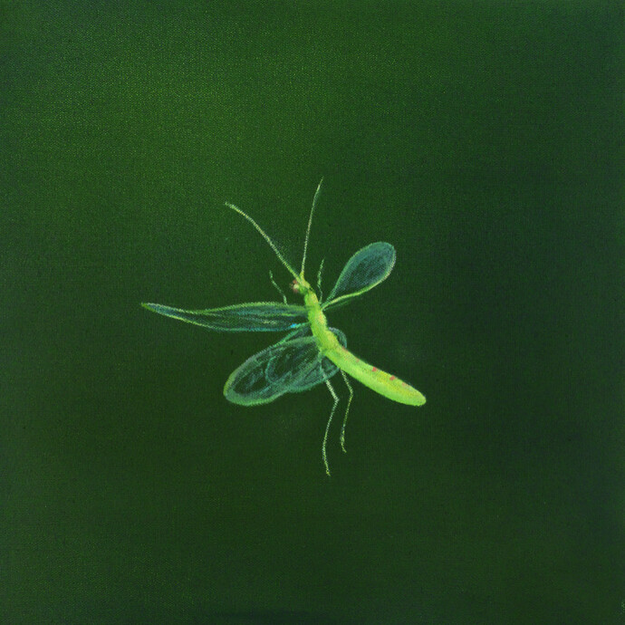 Angela Lyn. Floating gardens. Courtesy of Cortesi Gallery
