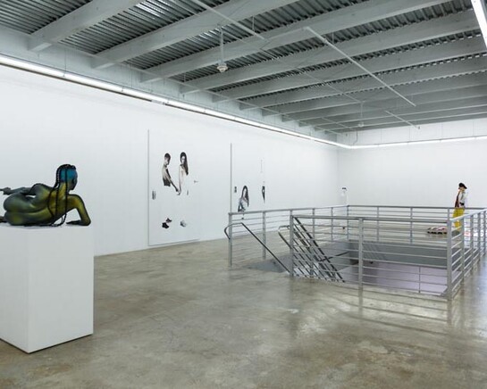 High Anxiety, Exhibition view. Courtesy of Rubell Family Collection