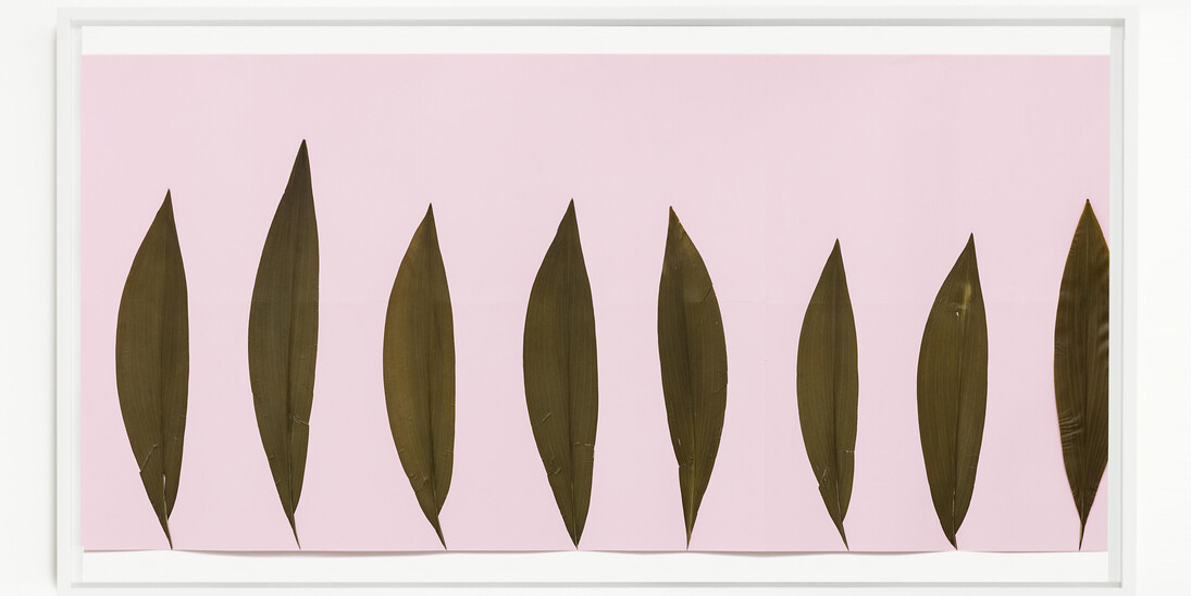 Alek O, Ida, 2017, pressed leaves on paper , 65 (h) x 155 (w) x 5.5 (d) cm each, photo by Andrea Rossetti, courtesy Gallery Frutta, Rome