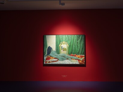 Awanle Ayiboro Hawa Ali, Fine feathers don't make fine birds, exhibition view. Courtesy of OK Linz