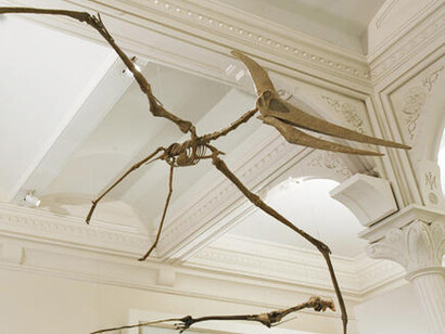 Hall of Vertebrate Origins. Courtesy of American Museum of Natural History