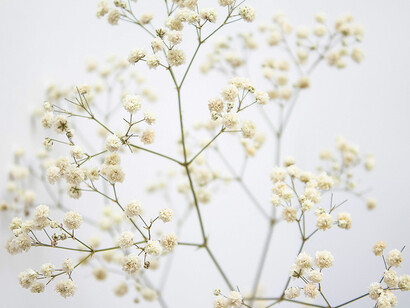 L'automne. Cette saison voit grandir une douce nostalgie qui s’installe au creux de nos pensées et laisse progressivement une place au bilan, à l'introspection qui s’amorce