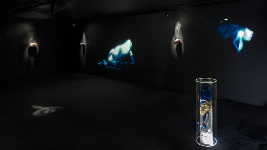Hayden Dunham, Never is over, exhibition view. Courtesy of Company Gallery