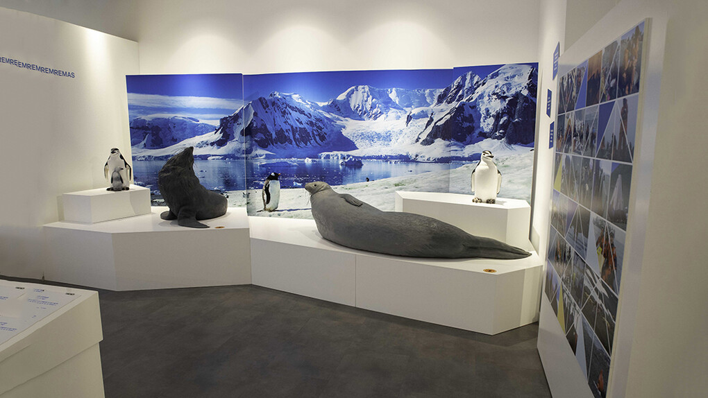 El museo en la Antártida, vista de exhibición. Cortesía de Casa de la Ciencia