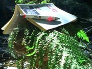 Laure Prouvost, Swallow, 2013, film still
digital video, Courtesy Laure Prouvost, Collezione Maramotti, MOT International