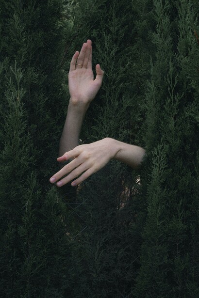 Labirinto. Mani si fanno strada nella siepe del labirinto