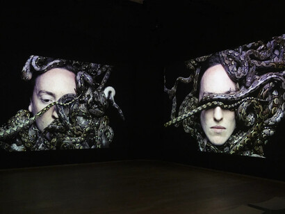 Various artists, Metamorphoses, exhibition view. Courtesy of Rijksmuseum