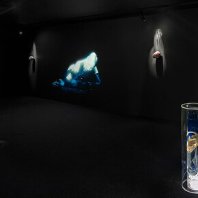 Hayden Dunham, Never is over, exhibition view. Courtesy of Company Gallery