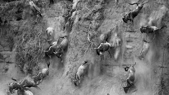 Xiangli Zhang, menzione, tredicesima edizione