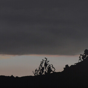 Lillian Bayley Hoover, Untitled (Herring run II) (detail), 2020. Courtesy of Goya Contemporary