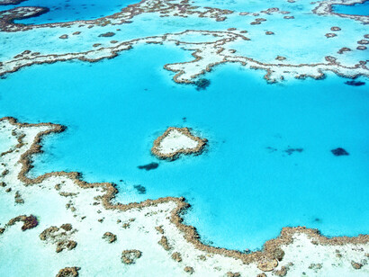 La Grande Barriera Corallina