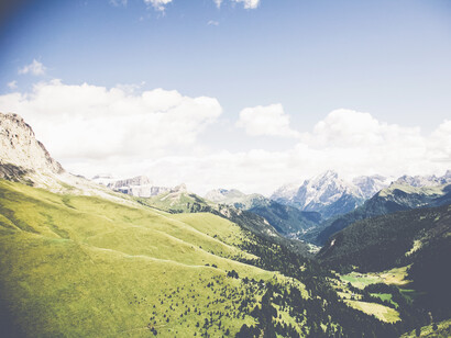 Siempre con un gran grado de consenso