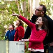 Forest gallery, exhibition view. Courtesy of Melbourne Museum