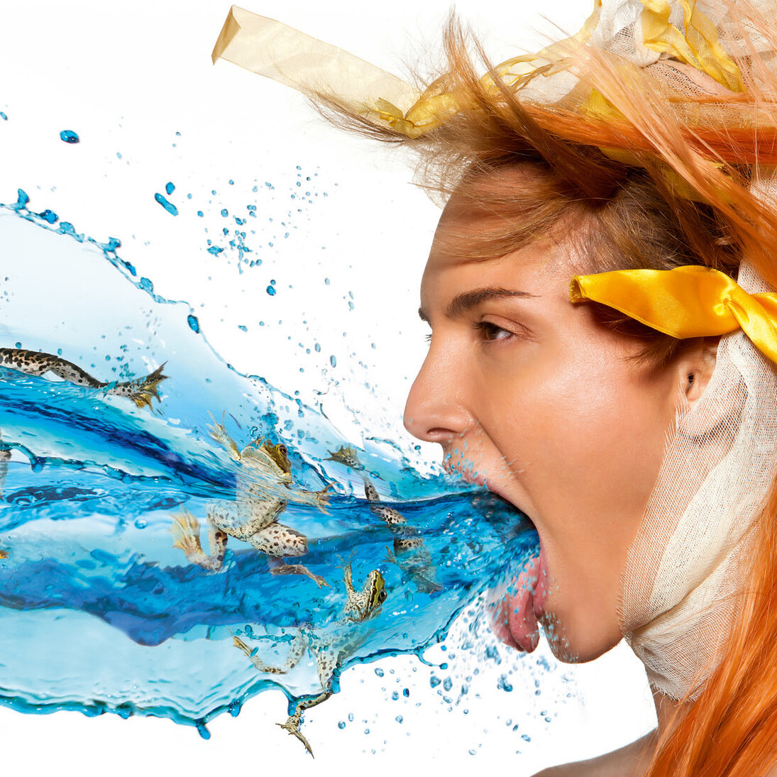 Heinz Schattner, Frog 58x28,3cm Hahnemuehle Barytata