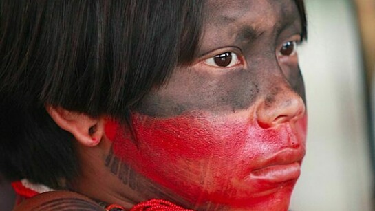 Ragazzo Kayapó, Brasile