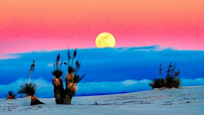 A nossa mente é finita?