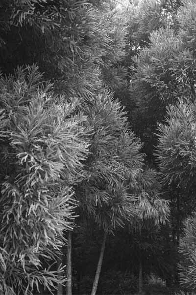 Loading… Works from the Foam Collection. Courtesy of Foam