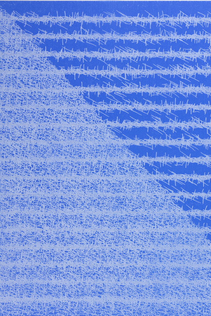 Pouran Jinchi
Bruised 1,detail,  2014
Transfer paper
18 x 18 in / 45.72 x 45.72 cm