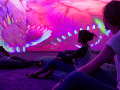 Pipilotti Rist. Courtesy of MFAH