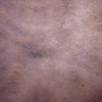 Raphaëlle Goethals, Emanation, 2024. Courtesy of Turner Carroll Gallery and the artist