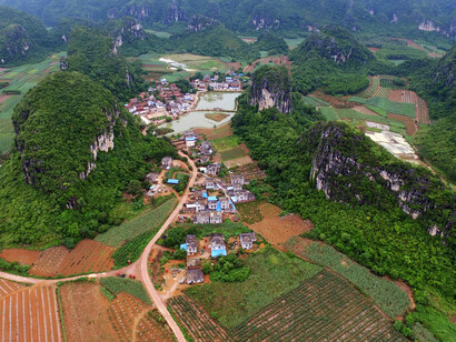 Fengshui forests of Zhuang Indigenous community of Qunan, China © BRC  Qingchuan Song