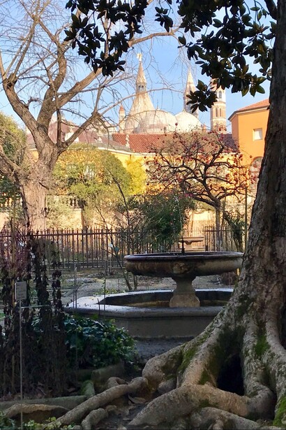 L'Orto Botanico in inverno svela tutte le  forme degli alberi