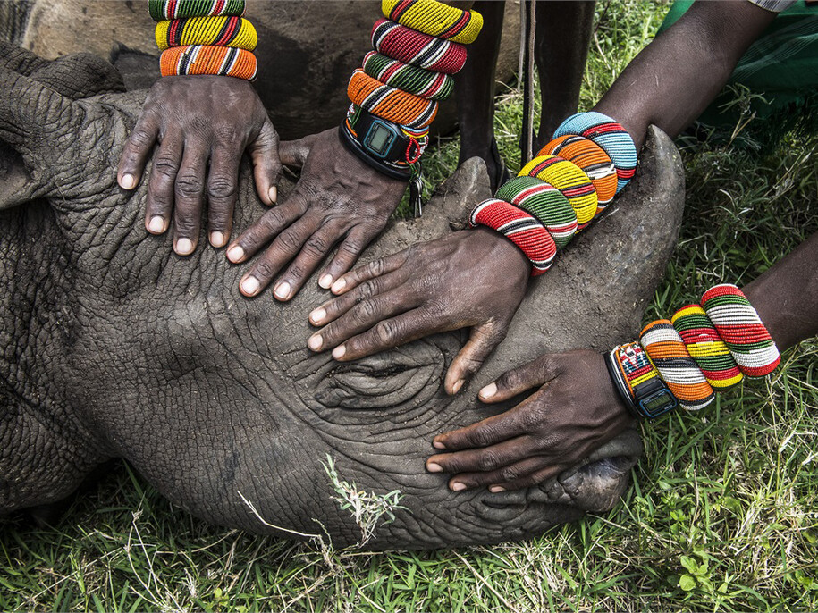 Ami Vitale, USA, National Geographic - Second Prize Nature Category, Singles