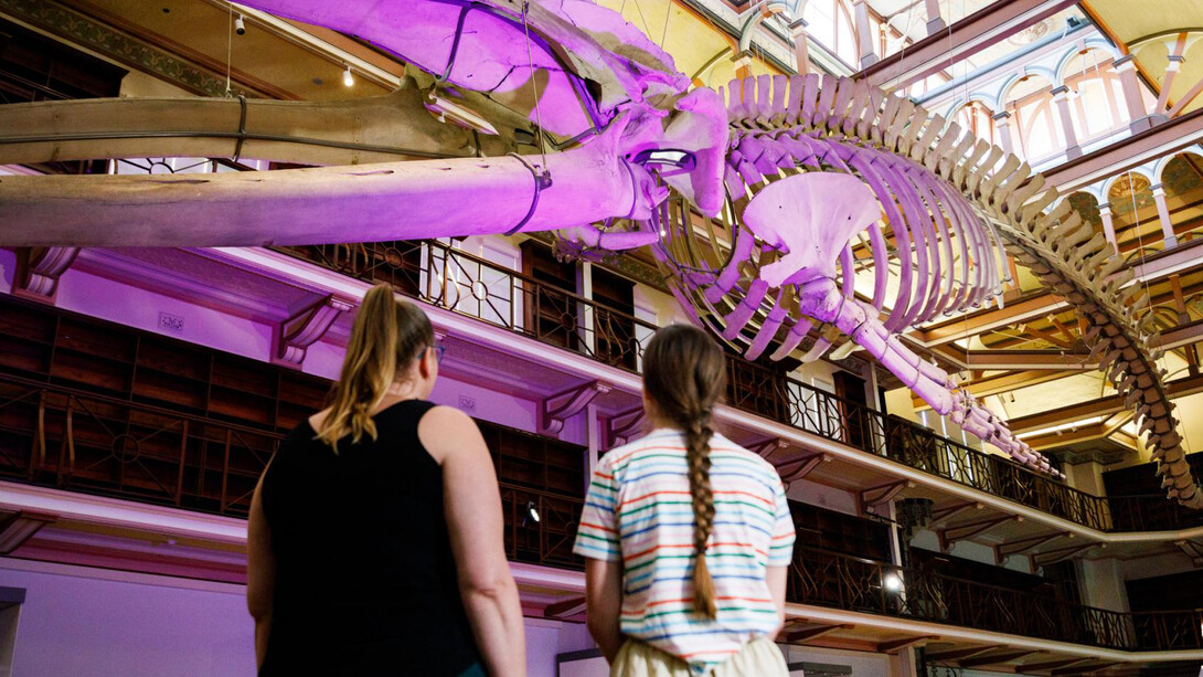 WA treasures, exhibition view. Courtesy of Western Australian Museum