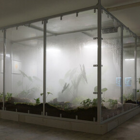 Zheng Mahler, Mushroom clouds, exhibition view. Courtesy of PHD Group