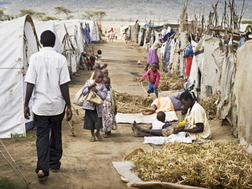 The alarming situation of IDPs