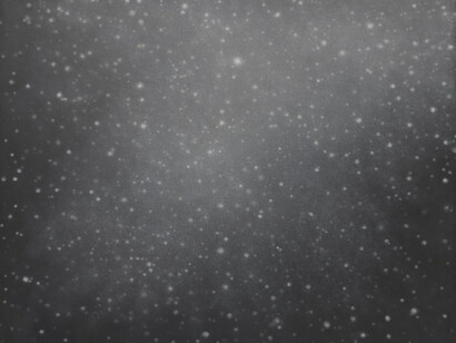 Vija Celmins. Courtesy of San Francisco Museum of Modern Art