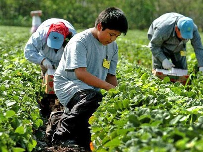 El trabajo infantil se desenvuelve siempre, comparado con el de los adultos, en condiciones de mayor precariedad