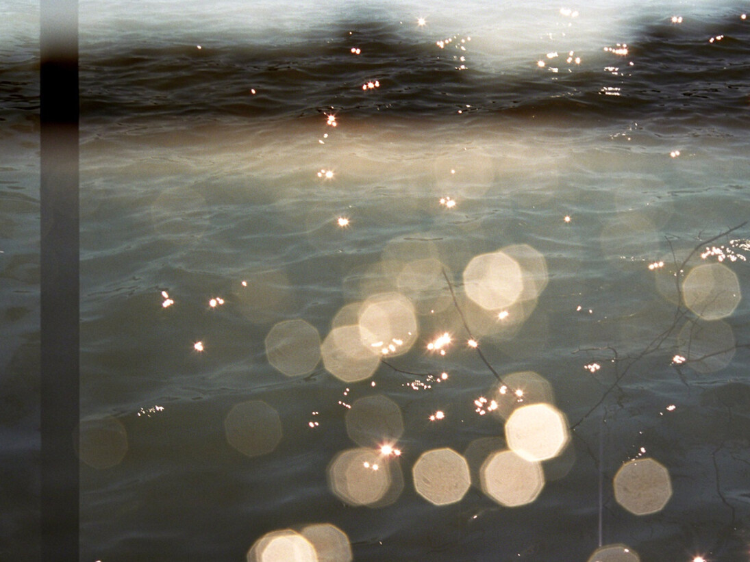 Leah Oates, Transitory Space, Prospect Park, Brooklyn, Natural Dots. Courtesy of Susan Eley Fine Art