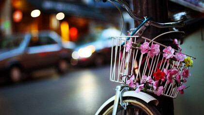 Ho preso la bicicletta...
