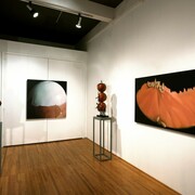 ArtSpace/Virginia Miller Galleries