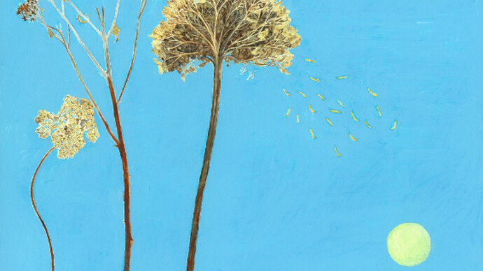 Jocelyn Clarke, Yarrow, 2014, 36 x 41 cm, oil on board