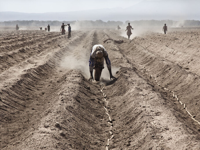 Alfredo Bini, Land Grabbing or Land to Investors?