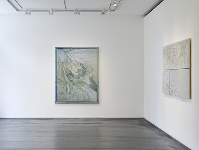 Reika Takebayashi, A petal falling, exhibition view. Courtesy of Taka Ishii Gallery 