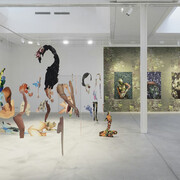 Various artists, The lure of the image, exhibition view. Courtesy of Fotomuseum Winterthur