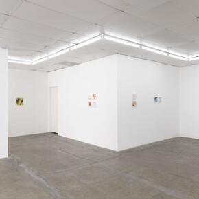 Caroline Weinstock, The dead pet, exhibition view. Courtesy of Bel Ami