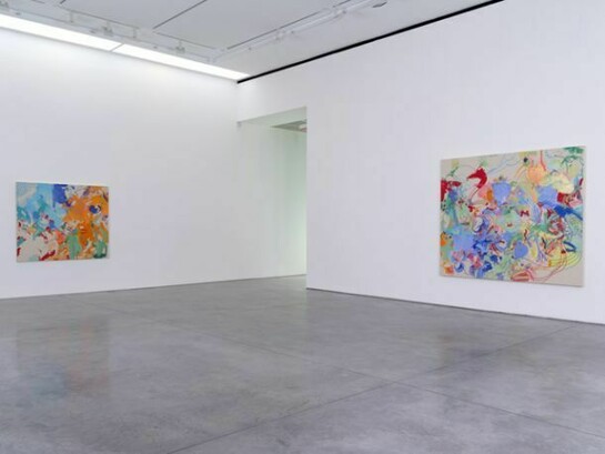 Installation Views. Courtesy 303 Gallery, New York