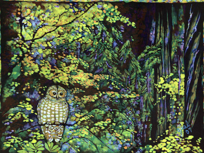 Gael Nagle - Spotted Owl