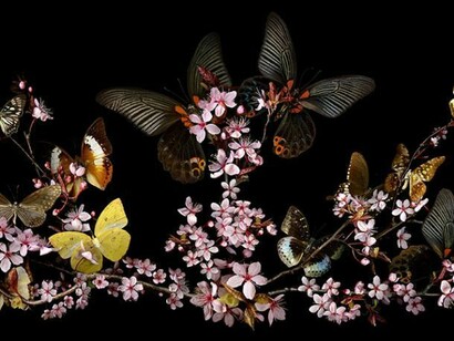 Allan Forsyth, Pull Through II, 2010, C-Type photographic print, Diasec, Edition of 25, 228 x 76 cm, © Allan Forsyth. Courtesy the artist